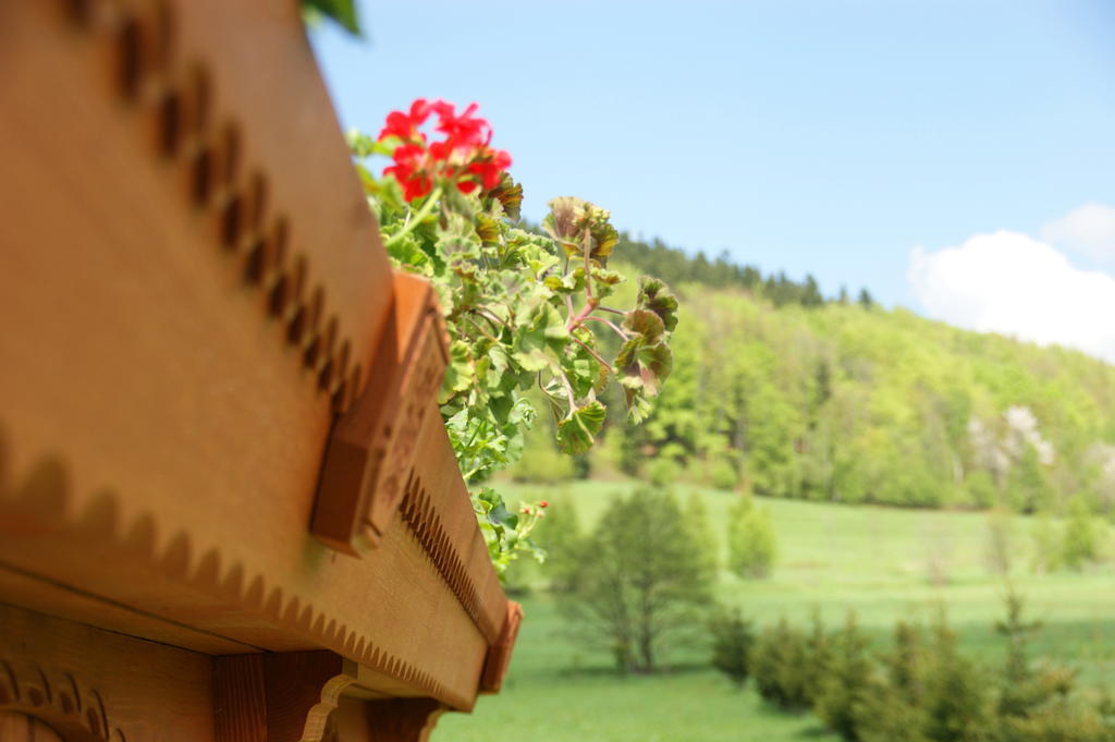 Villa La Val, Karkonosze Szarocin Dış mekan fotoğraf