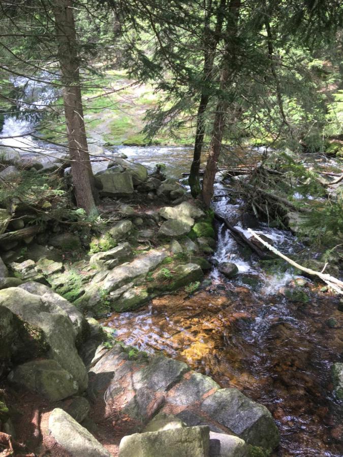 Villa La Val, Karkonosze Szarocin Dış mekan fotoğraf